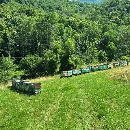 Del Borgo 24 아파트